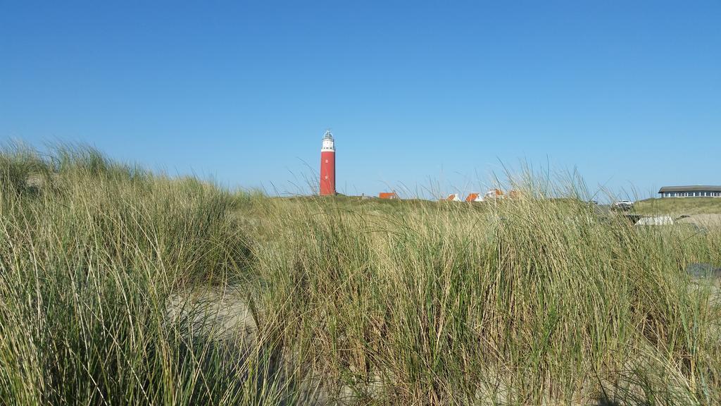Homestay Bij Aelita Den Burg Buitenkant foto